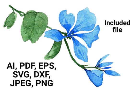 Download Watercolor Floral Elements Set - Elements Collection