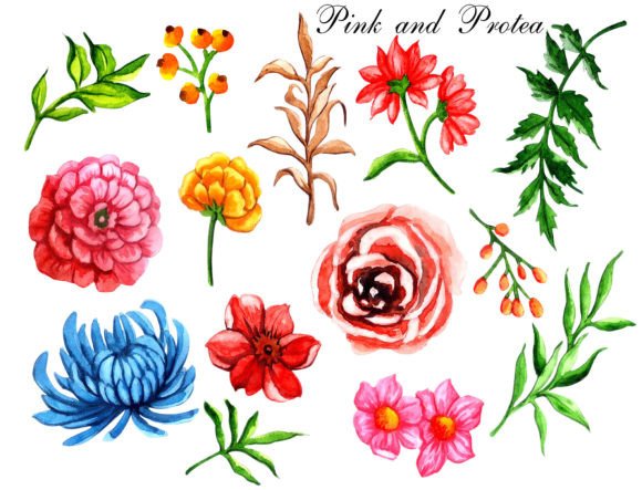 Download Watercolor Floral Elements Pink Protea - Elements Collection