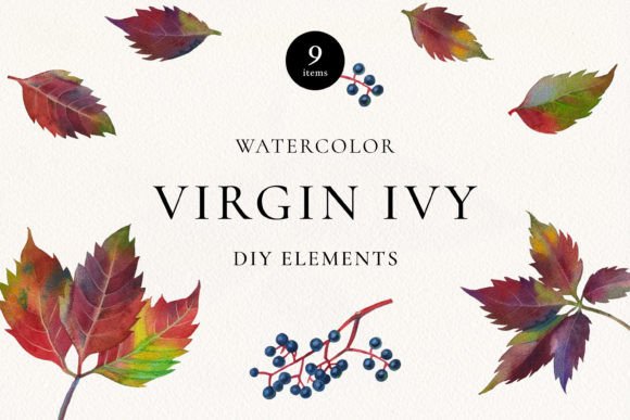 Download Virgin Ivy Watercolor Floral Elements - Elements Collection