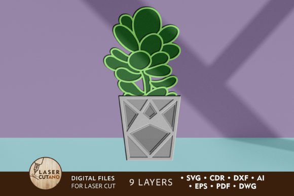 Download Succulent Home Decoration Template - Decoration Collection