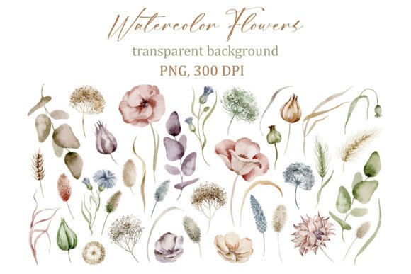 Download Delicate Watercolor Floral Elements, PNG - Elements Collection