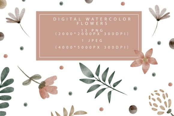 Download Collection of Watercolor Floral Elements - Elements Collection