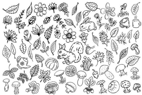 Download Outline Doodle Illustrations - Premium Bundle