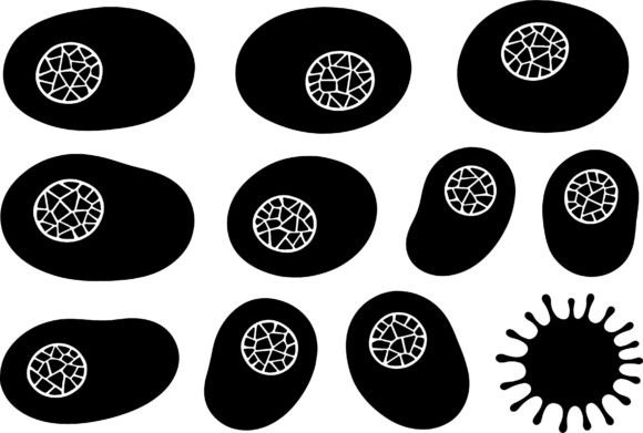 Download Abstract Organic Shapes Black White - Organic Collection