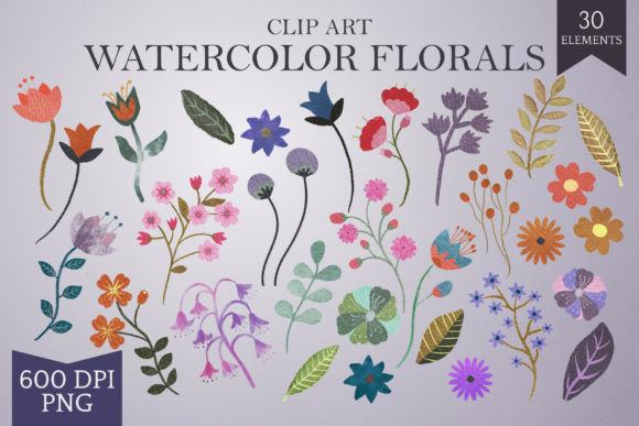 Download Hand-drawn Watercolor Floral Elements - Elements Collection