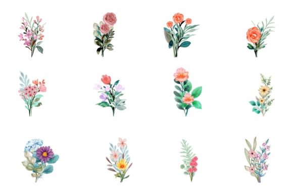 Download Watercolor Flower Elements - Elements Collection