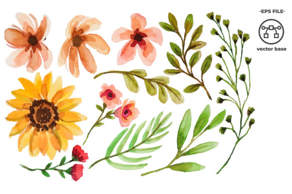 Download Watercolor Flower Elements - Elements Collection