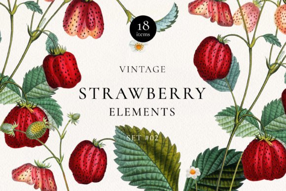 Download Vintage Strawberry Plant DIY Elements - Elements Collection