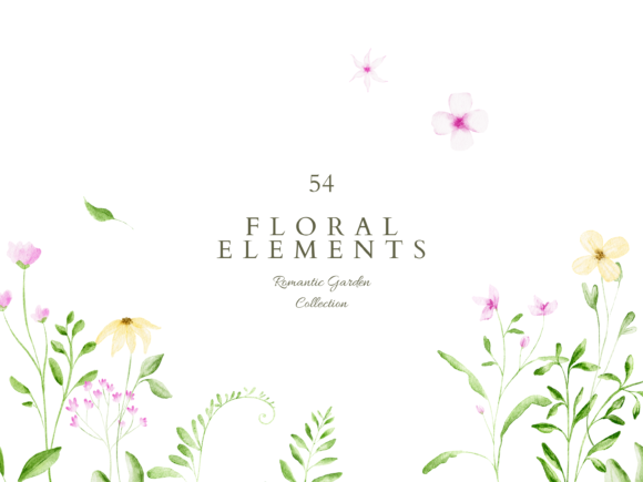 Download Watercolor Floral Elements Clipart - Elements Collection